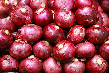 Image showing Harvested Red Onions in background