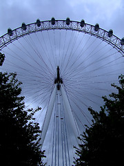 Image showing Tree with wheel