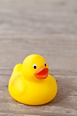 Image showing Rubber duck