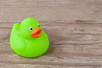 Image showing Rubber duck