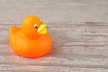 Image showing Rubber duck