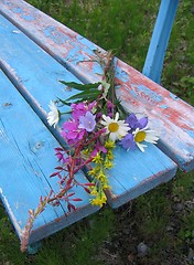 Image showing Flowers on old bench