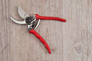 Image showing Gardening scissor