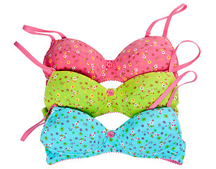 Image showing three color cotton bra