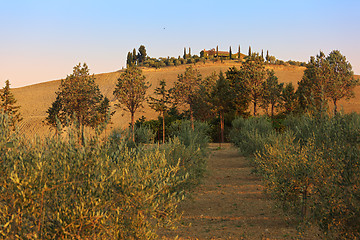 Image showing Tuscany landscape