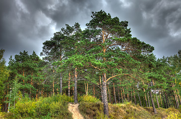 Image showing Autumn landscape.