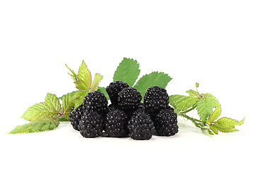 Image showing Blackberries