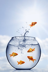 Image showing goldfish jumping out of the water