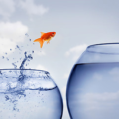 Image showing goldfish jumping out of the water