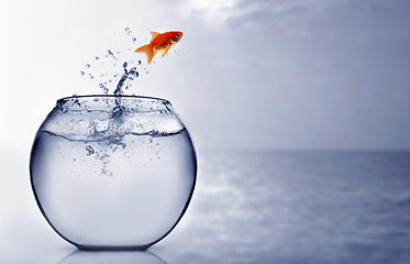 Image showing Goldfish jumping into the sea