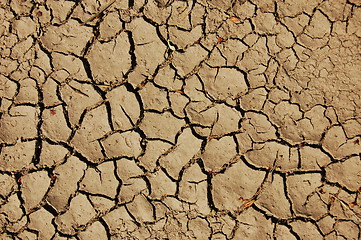 Image showing dry soil