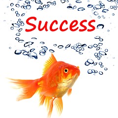 Image showing success