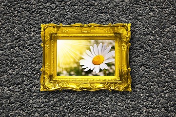 Image showing flowers and image frame on wall