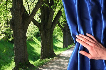 Image showing landscape behind blue curtain