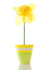 Image showing flower in pot