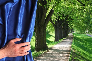 Image showing park and blue curtain