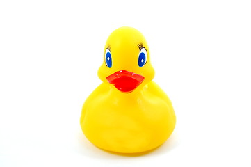 Image showing toy rubber duck 