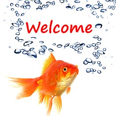 Image showing welcome