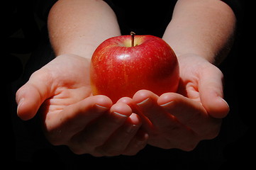 Image showing hand with apple