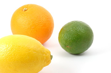 Image showing lemon orange and citron fruit