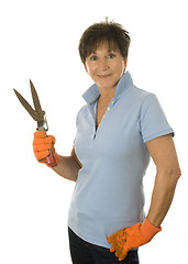 Image showing female middle age senior woman gardener hand tool grass clippers