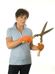 Image showing female middle age senior woman gardener hand tool garden shears