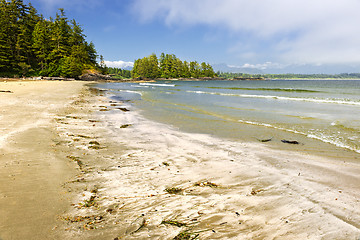 Image showing Coast of Pacific ocean, Vancouver Island, Canada