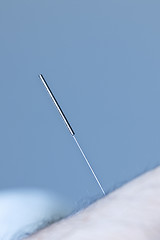Image showing Acupuncture needle in skin