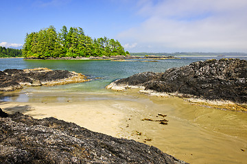 Image showing Coast of Pacific ocean, Vancouver Island, Canada