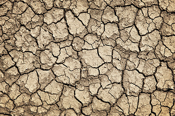 Image showing Dry cracked ground during drought