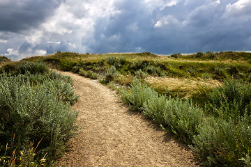 Image showing Trail in Badlands in Alberta, Canada