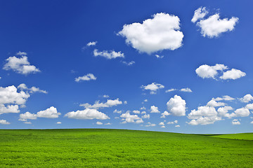 Image showing Green rolling hills under blue sky