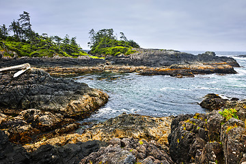 Image showing Coast of Pacific ocean, Vancouver Island, Canada