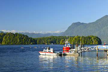 Image showing Boats at dock in Tofino, Vancouver Island, Canada