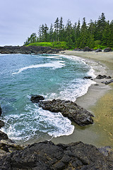 Image showing Coast of Pacific ocean in Canada