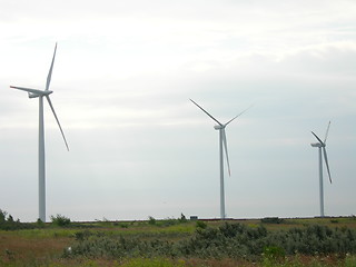 Image showing Windmills