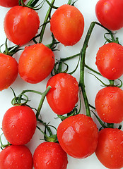 Image showing Cherry Tomato