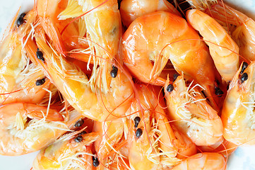 Image showing Shrimp