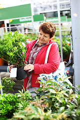 Image showing Senior woman buying plants