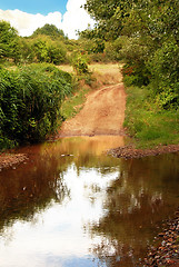 Image showing Country road