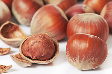 Image showing hazelnuts