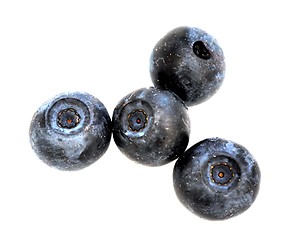 Image showing Blueberries