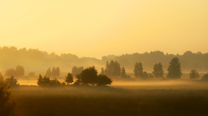 Image showing sunset over misty land