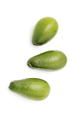 Image showing avocado fruits