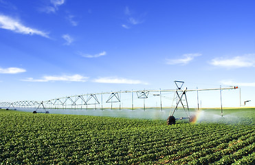 Image showing Farming tool