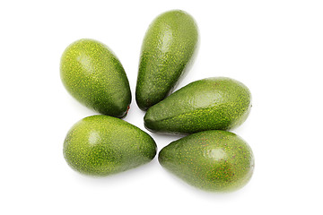 Image showing avocado fruits