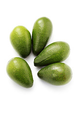 Image showing avocado fruits