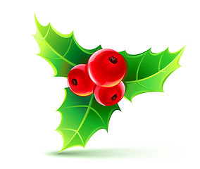 Image showing holly leaves and berries