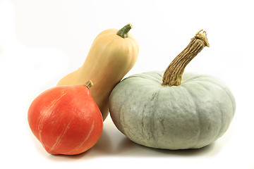 Image showing Pumpkins.
