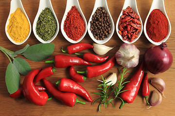 Image showing Spices composition